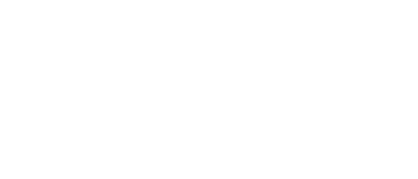 norisk group