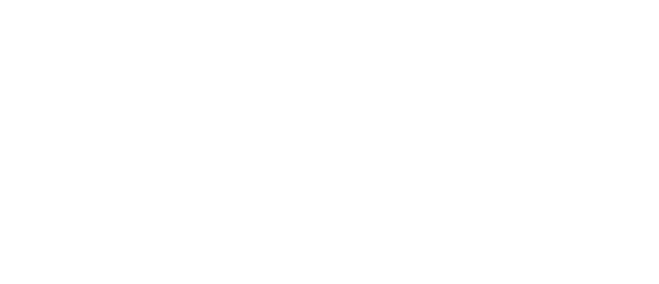 norisk group